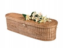 Biodegrable Large Willow Youth Casket 